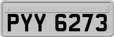 PYY6273