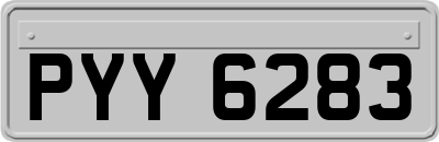 PYY6283