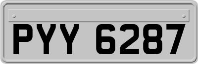 PYY6287