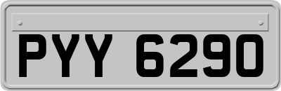 PYY6290