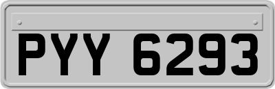 PYY6293
