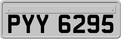PYY6295