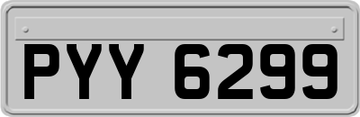 PYY6299