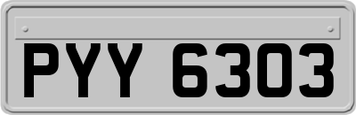 PYY6303
