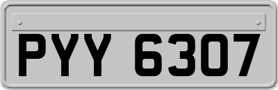 PYY6307