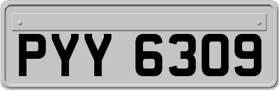 PYY6309