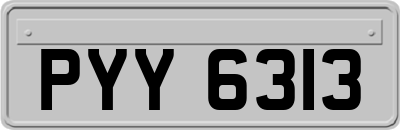 PYY6313