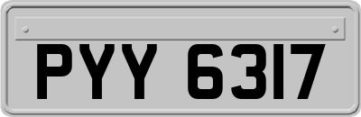 PYY6317