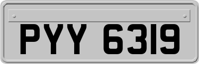 PYY6319