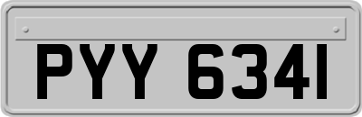 PYY6341
