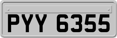 PYY6355