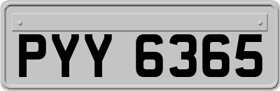 PYY6365