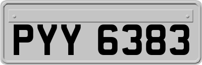 PYY6383
