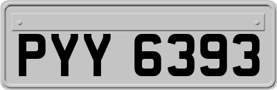 PYY6393