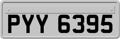 PYY6395
