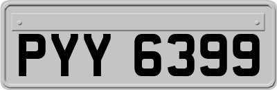 PYY6399