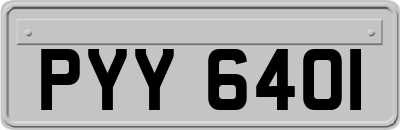 PYY6401