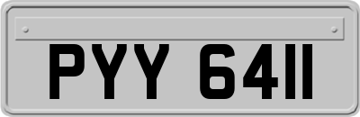 PYY6411