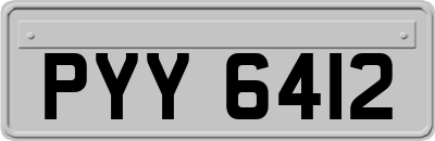 PYY6412
