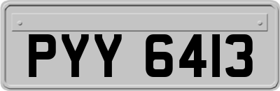 PYY6413