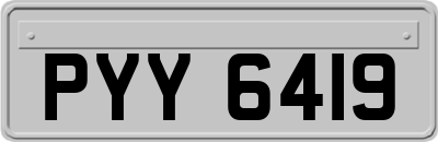 PYY6419