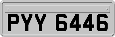 PYY6446