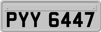 PYY6447