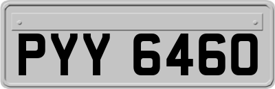 PYY6460