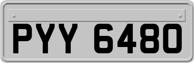 PYY6480