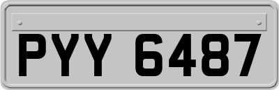PYY6487