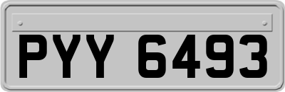 PYY6493