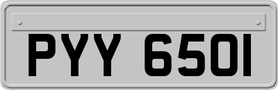 PYY6501