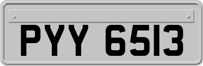 PYY6513