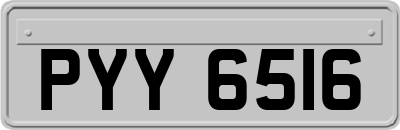 PYY6516