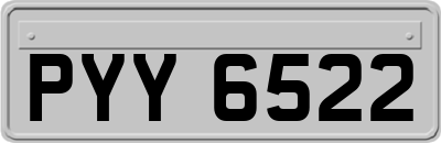 PYY6522