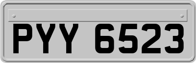 PYY6523