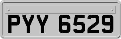 PYY6529