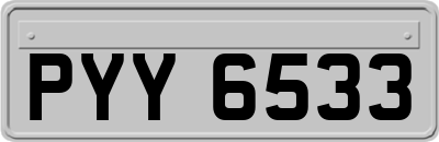 PYY6533