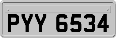 PYY6534