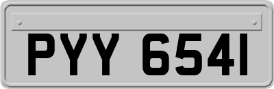 PYY6541