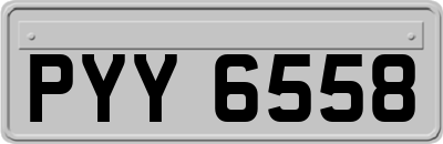 PYY6558