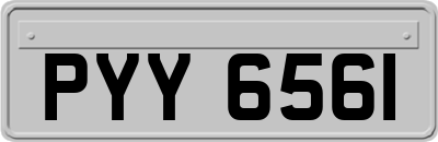 PYY6561