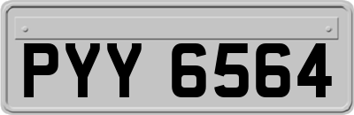 PYY6564