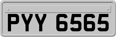PYY6565