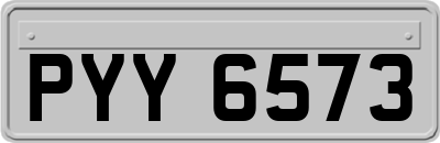 PYY6573
