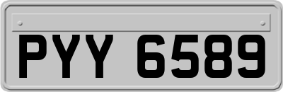 PYY6589