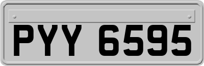 PYY6595