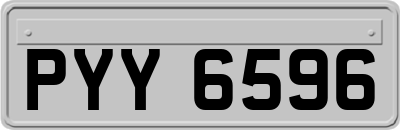PYY6596
