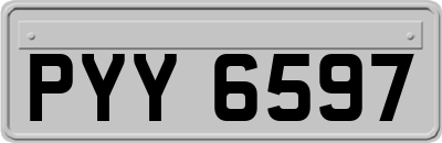 PYY6597