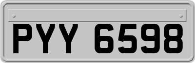 PYY6598